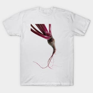 Small freshly harvested beet close-up T-Shirt